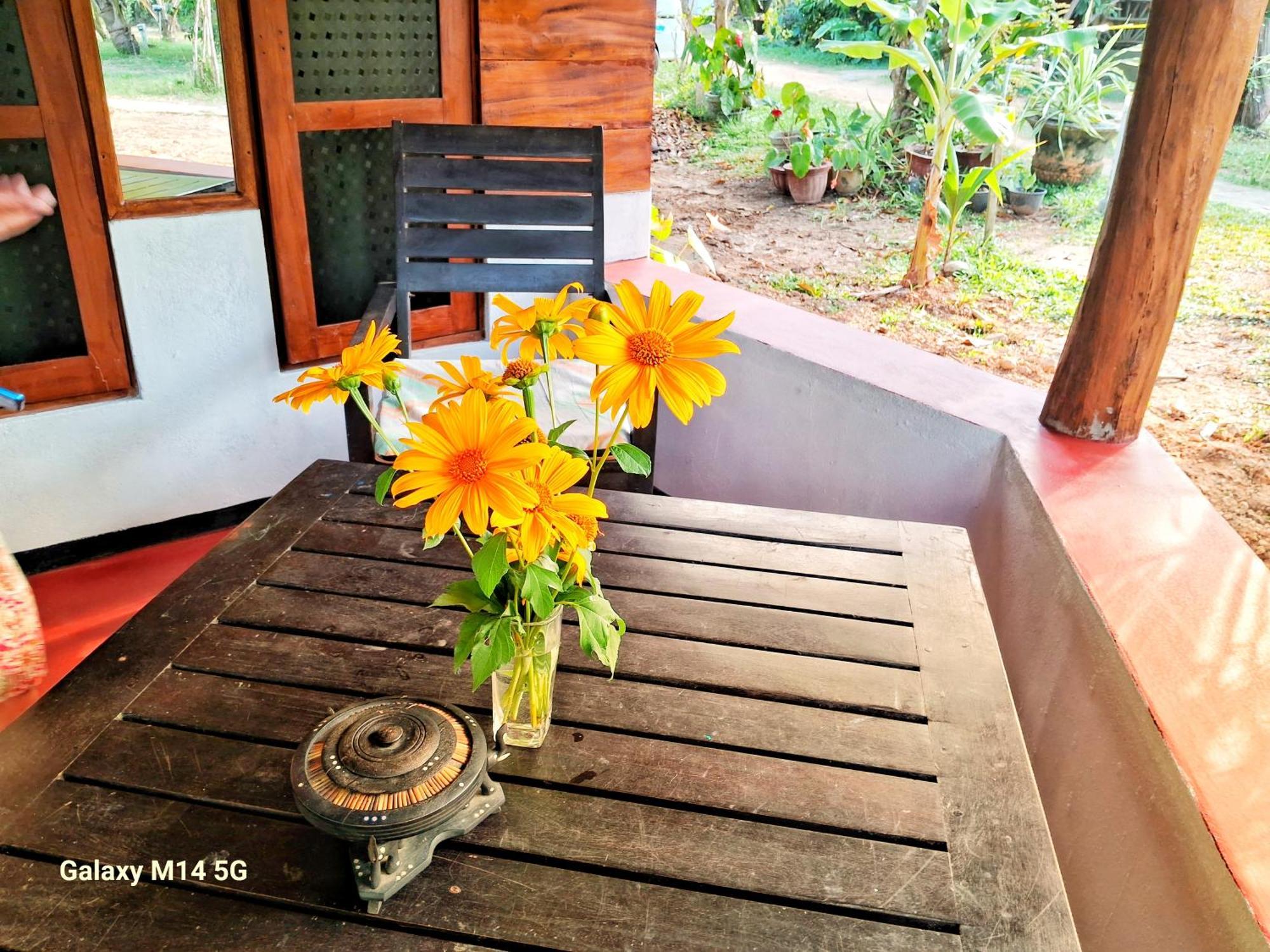 Sea Sound Cabana & Restaurant Tangalle Bagian luar foto